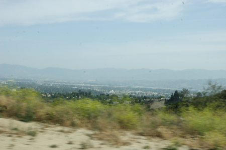 hollywood294