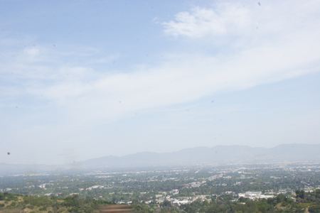 hollywood295