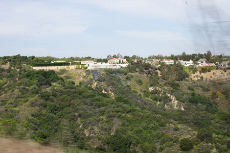 hollywood296
