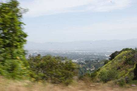 hollywood297