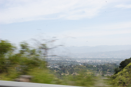 hollywood298