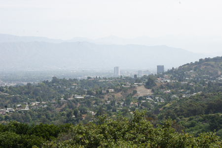 hollywood300