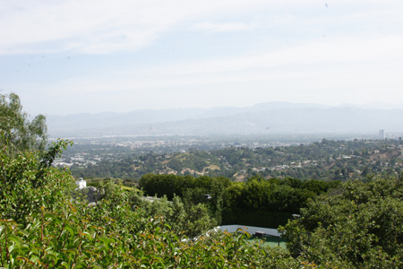 hollywood301