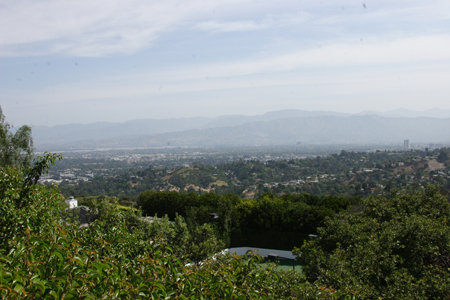 hollywood302
