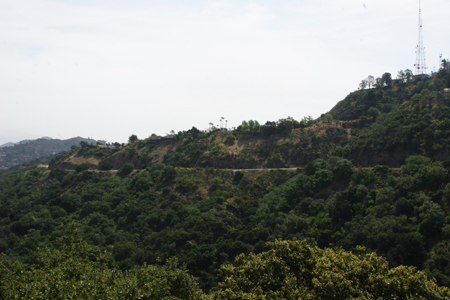 hollywood303