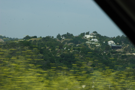 hollywood306