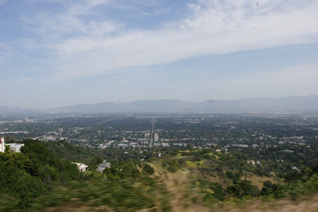 hollywood313