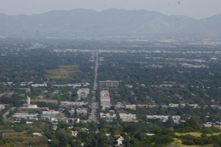 hollywood314