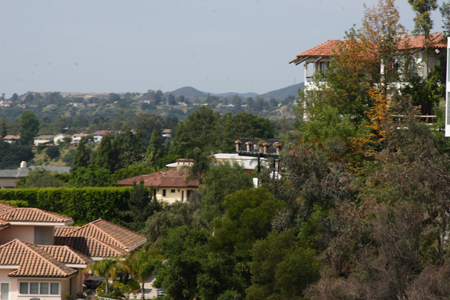 hollywood317