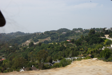hollywood318