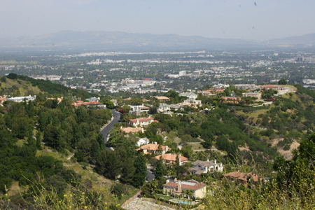 hollywood319