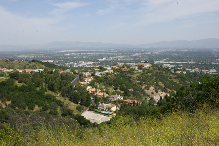 hollywood320