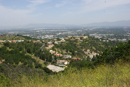 hollywood321