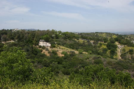 hollywood322
