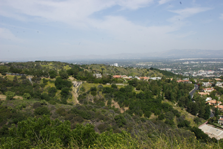 hollywood323