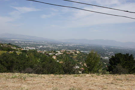 hollywood326