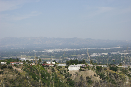 hollywood329