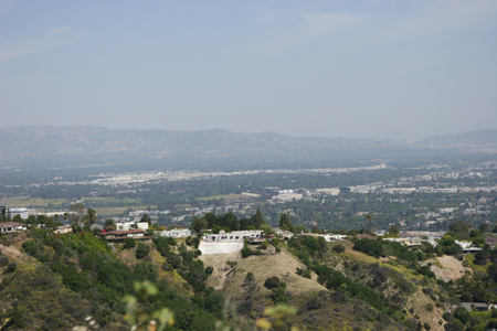 hollywood331