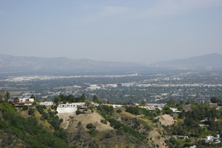 hollywood333