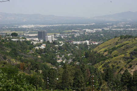 hollywood335