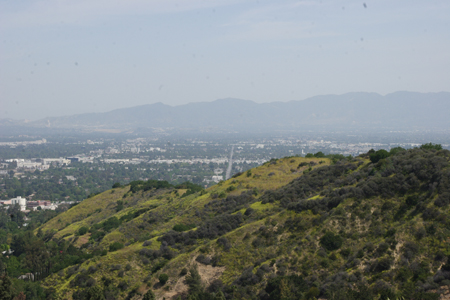 hollywood336
