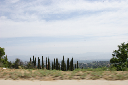 hollywood339