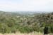 hollywood291