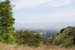 hollywood297
