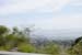 hollywood298