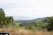 hollywood299