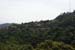hollywood303