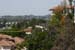 hollywood317