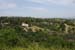 hollywood322