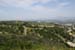 hollywood323