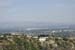 hollywood329