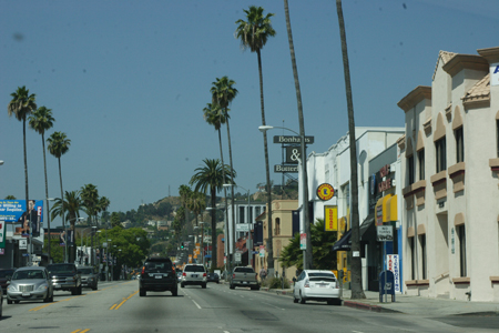hollywood235