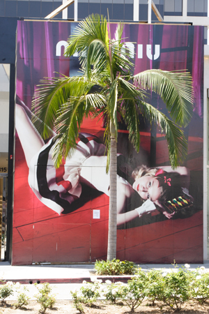 hollywood266