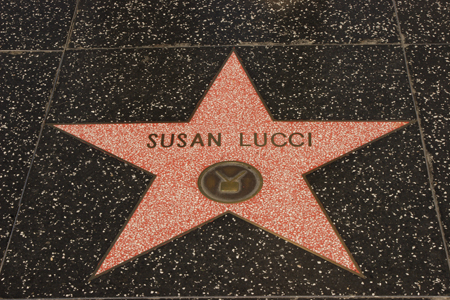 hollywood127