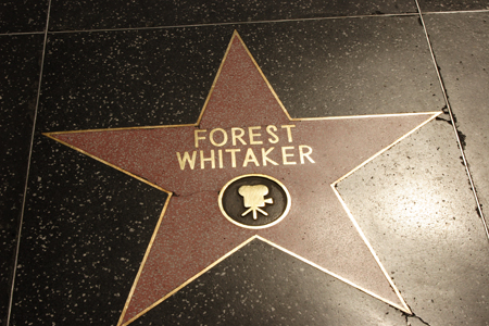 hollywood141