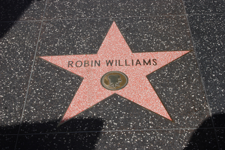 hollywood155