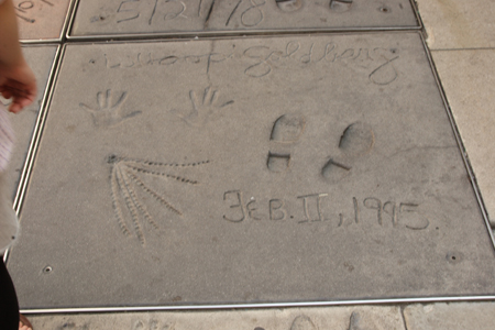 hollywood169
