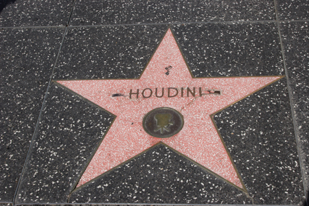 hollywood183