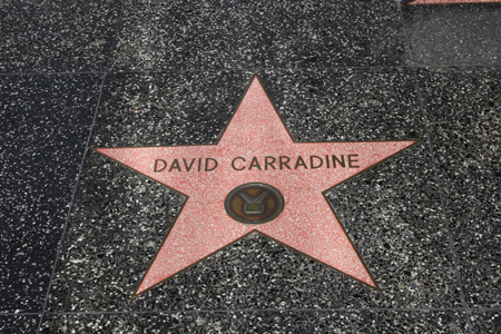 hollywood186