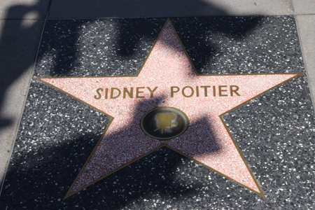 hollywood195