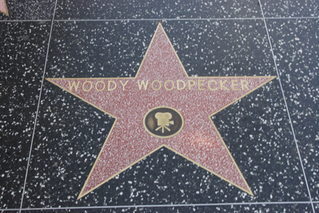 hollywood204
