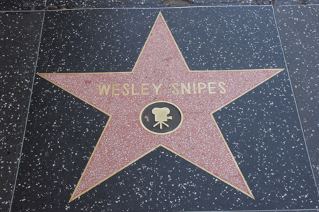 hollywood206