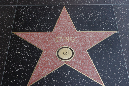 hollywood224