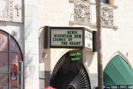 hollywood228