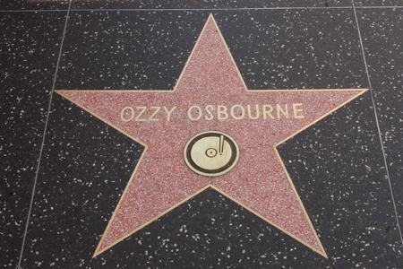 hollywood229