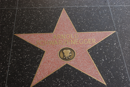 hollywood232